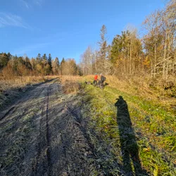 Фото с Котельская осень
