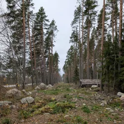 Фото с Фирма: Три Кирхи