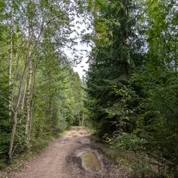 Фото с Киви Выбирает Блинчики