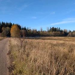 Фото с Котельская осень