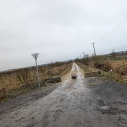 Фото с Ручеёк течёт в Саблино