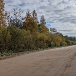Фото с БК: Тёссанные приключения