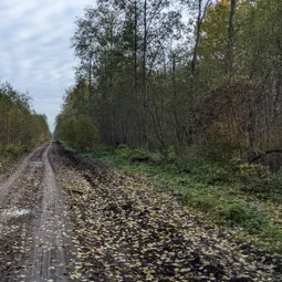 Фото с БК: Тёссанные приключения
