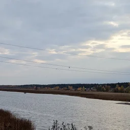 Фото с Прогулка около Виипури