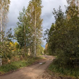 Фото с Осень на все 100