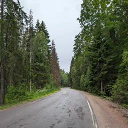 Фото с Выыыборги и то что северней