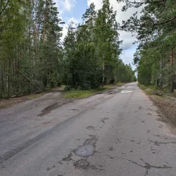 Фото с Киви Выбирает Блинчики
