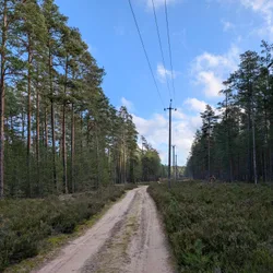 Фото с Фирма: Три Кирхи