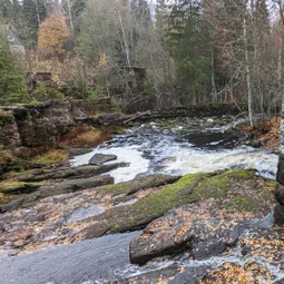 Фото с Прогулка около Виипури