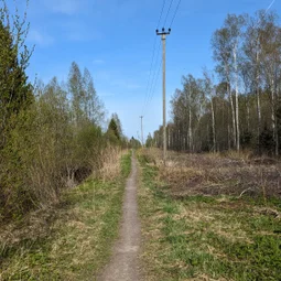 Фото с Волховский фронт
