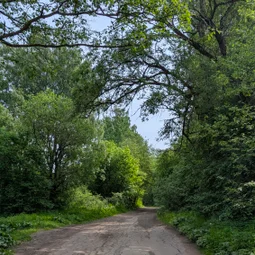 Фото с Тёмная сторона Кальтино