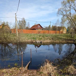 Фото с Приключения в Лесном царстве