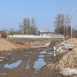 Фото с БК: Первый Весенний