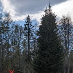 Фото с Фирма: Победный марш