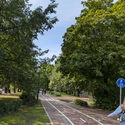 Фото с Киви Выбирает Блинчики