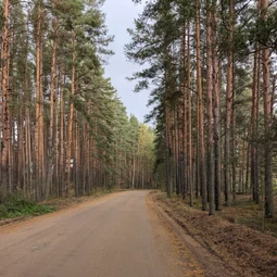 Фото с Осень на все 100