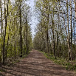 Фото с Субботний классический кружок
