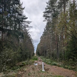 Фото с Осень на все 100