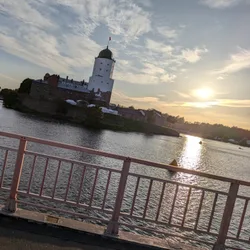 Фото с Киви Выбирает Блинчики