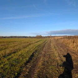 Фото с Котельская осень