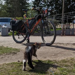 Фото с Волховский фронт