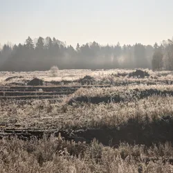 Фото с Котельская осень