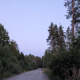 Фото с Вечер: из Зелёной Рощи