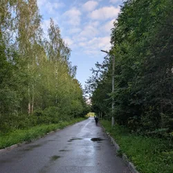 Фото с Вечер: Заросший университет