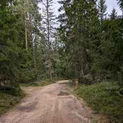 Фото с Киви Выбирает Блинчики