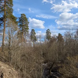 Фото с Экологический Весенний