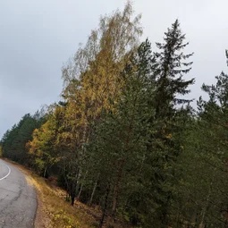 Фото с Прогулка около Виипури