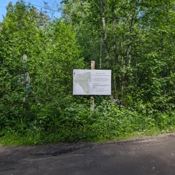 Фото с Гром через Финскую Призму