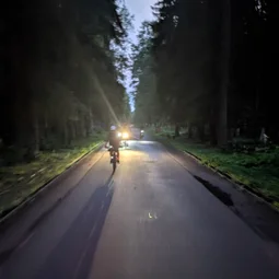 Фото с Вечер: Северные Муравейные Холмики