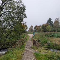 Фото с Веймарнская осень