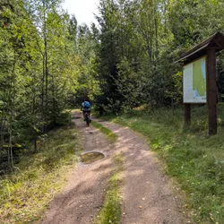Фото с Киви Выбирает Блинчики