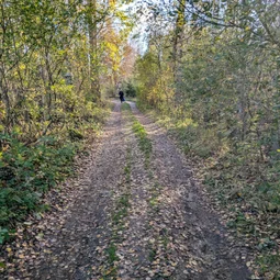 Фото с Осень на все 100