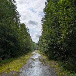 Фото с Киви Выбирает Блинчики