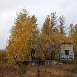 Фото с Прогулка около Виипури
