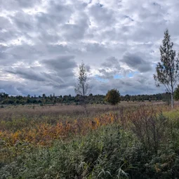 Фото с Осень на все 100