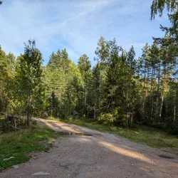 Фото с Киви Выбирает Блинчики