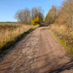 Фото с Котельская осень