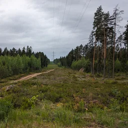Фото с Выыыборги и то что северней
