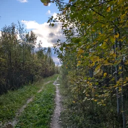 Фото с Осень на все 100