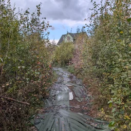 Фото с Осень на все 100