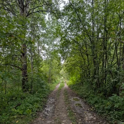Фото с Малая Родина