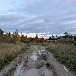 Фото с Вечер: Отпуск в Пушкине