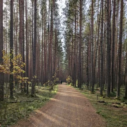 Фото с Чил.Осень.111