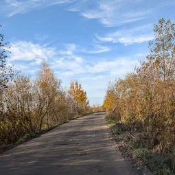 Фото с Чил.Осень.111