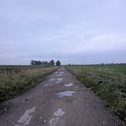 Фото с Старые тропинки Пушкинских Понтонов