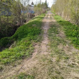 Фото с Волховский фронт